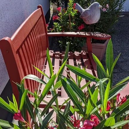 Hortensie Apartment Speyer