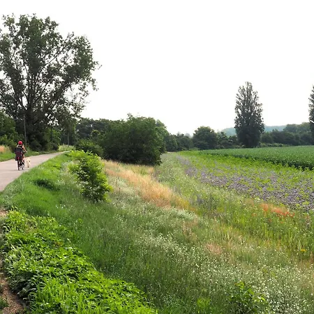Appartement Hortensie