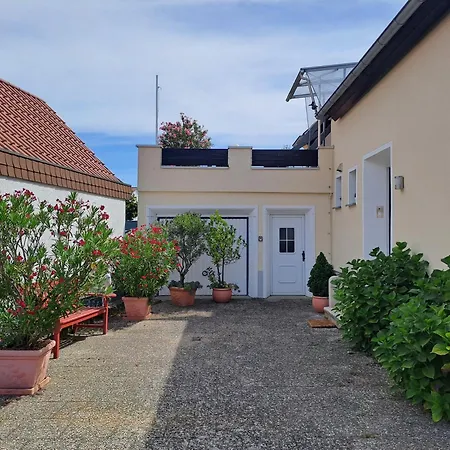 Hortensie Speyer
