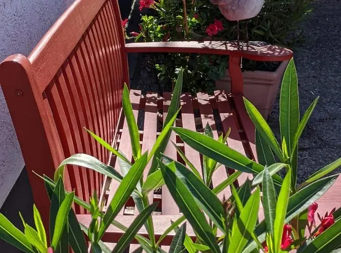 Hortensie Διαμέρισμα Σπάιερ