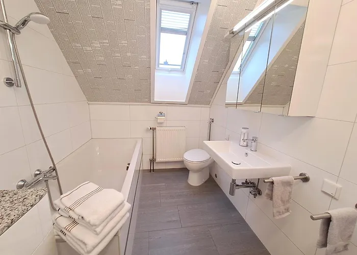 Hortensie Σπάιερ