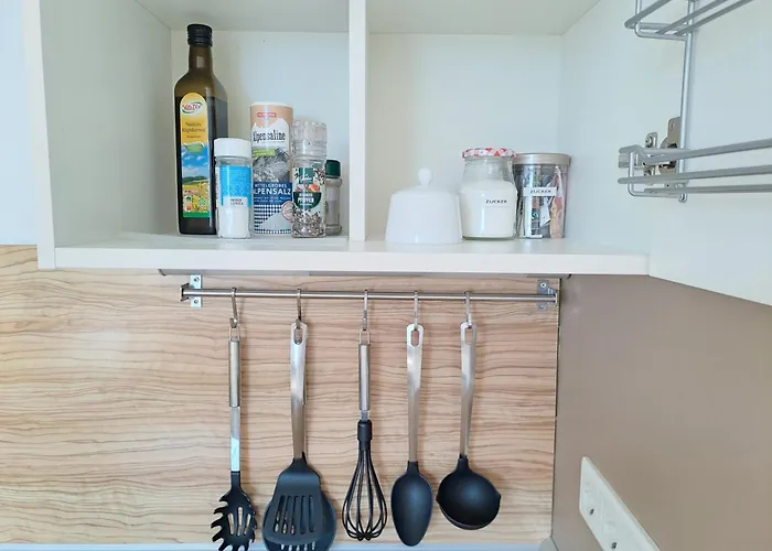 Hortensie Σπάιερ