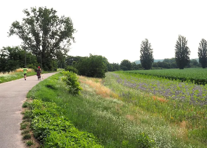 Διαμέρισμα Hortensie