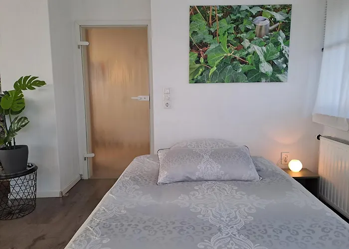 Hortensie * Σπάιερ